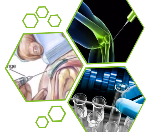 tri-pic-stem-cell-green-500x450-1