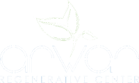 transparent logo